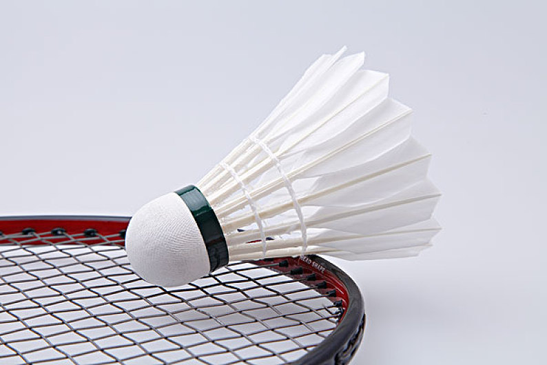 都让雄鹿的 都让雄鹿的